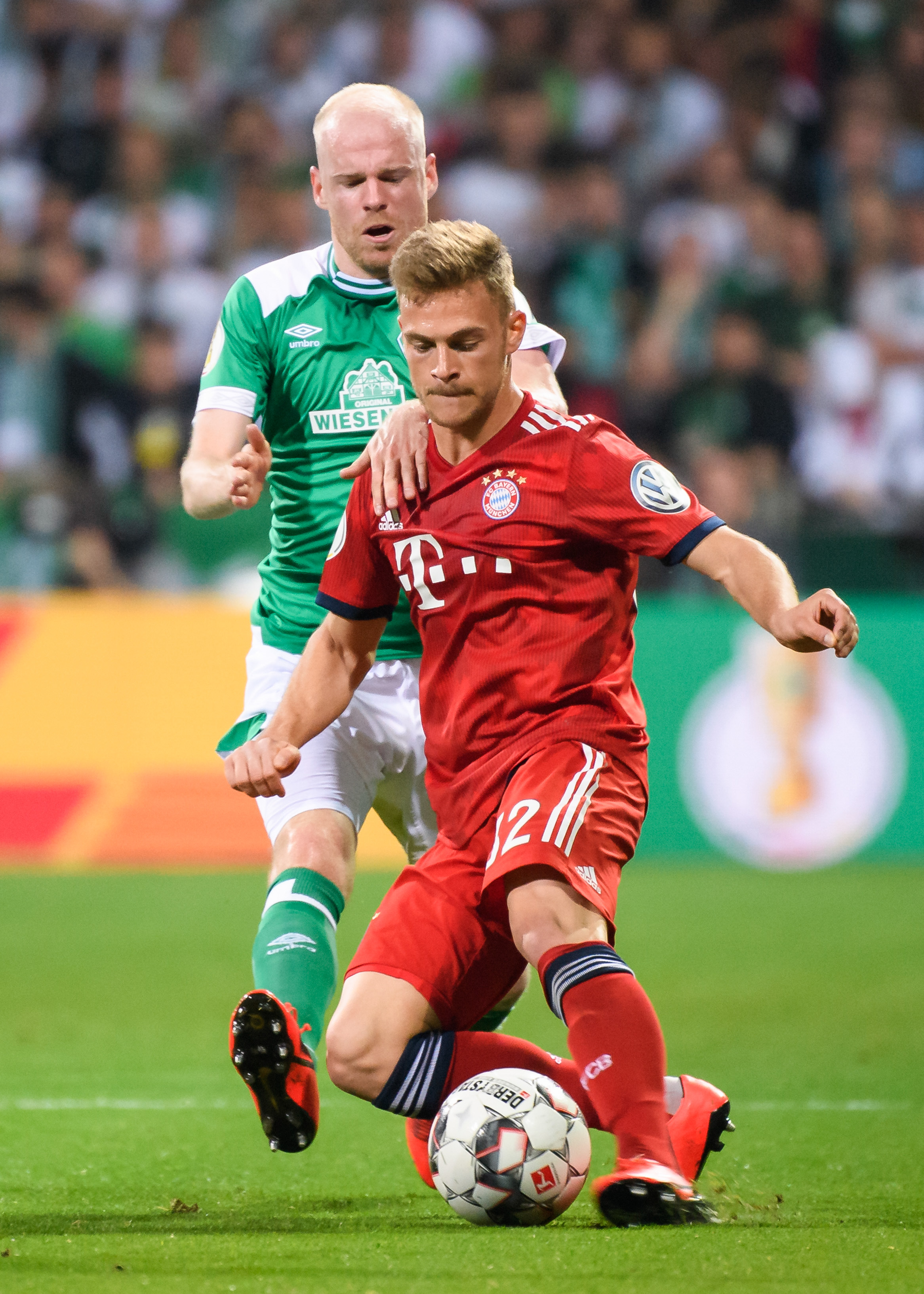 不少专家建 不少专家建