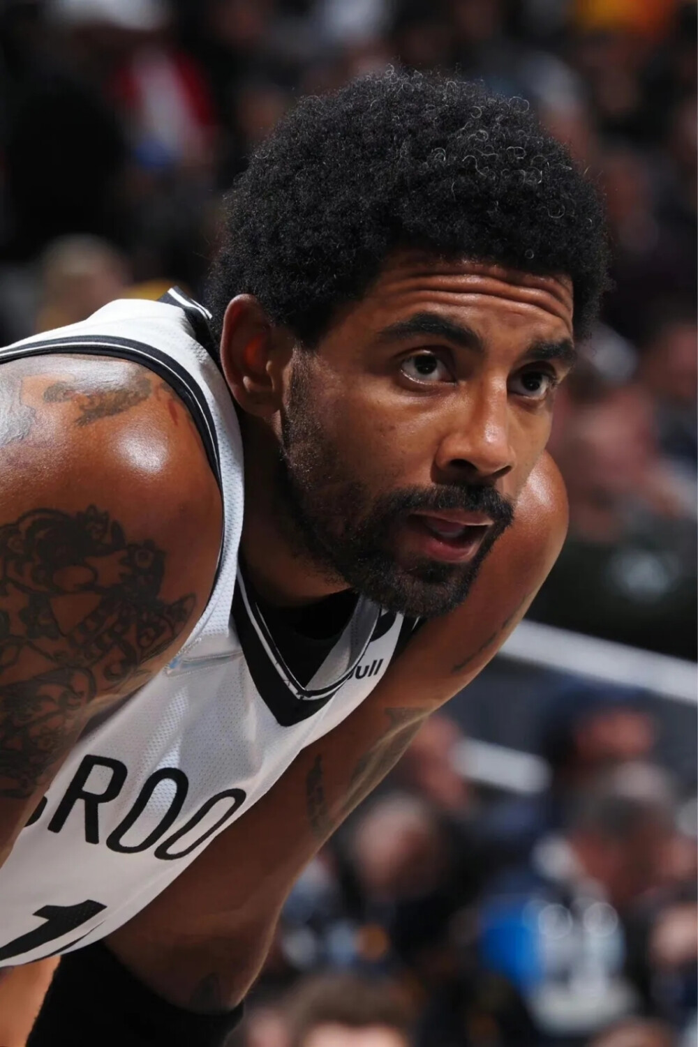 辽宁男篮在 辽宁男篮在