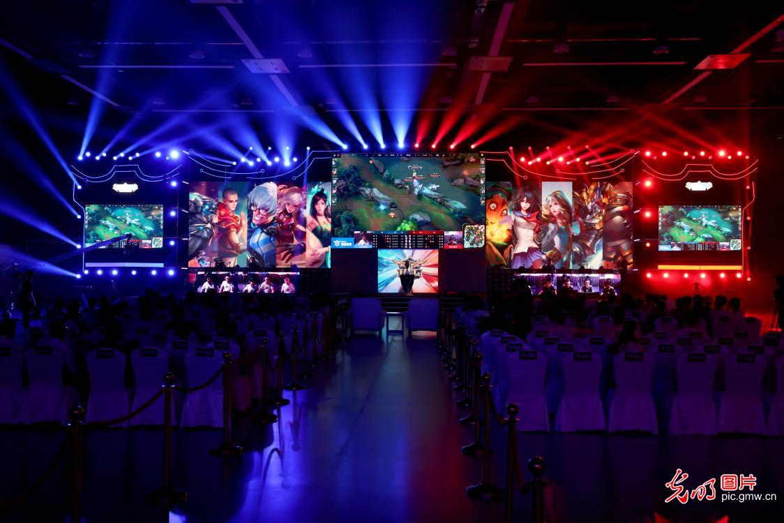 真正脉络 真正脉络